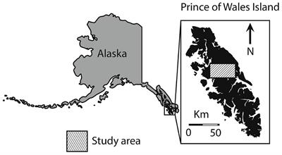 The Importance of Environmental Variability and Transient Population Dynamics for a Northern Ungulate